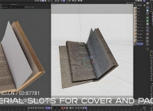 Cinema4D可翻页程序化书籍动画C4D预设资产 强大参数控制兼容多渲染器 完美解决繁琐手动K帧痛点procedural_book_v1.05_r25-2024