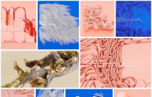 C4D Octane渲染器全面掌握入门基础教程MotionPunk – Mastering Octane Fundamentals 2025 with Thanos Kagkalos