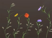 花草绘制风吹动画控制模型Flowers Drawing