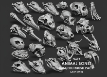 动物头骨骷髅骨骼3D模型合集 Artstation – Animal Bones Collection IMM\Stl\Obj Brush Pack 21 in One Vol.1