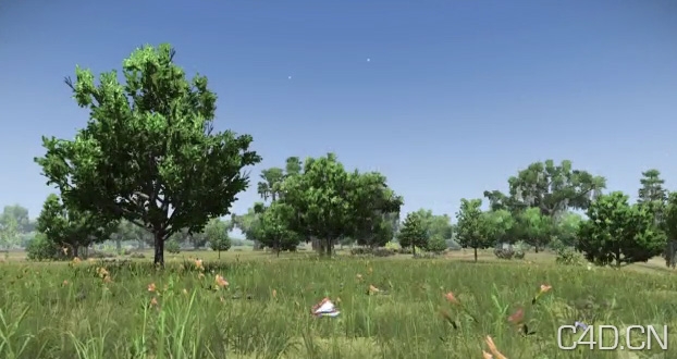 SPEEDTREE® V6.1.1 RELEASED, DELIVERS CINEMA 4D SUPPORT