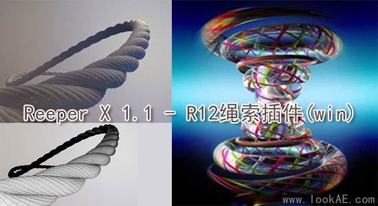 Reeper X 1.1 For C4D R12(绳索插件win) - C4D之家 - aaa.bmp