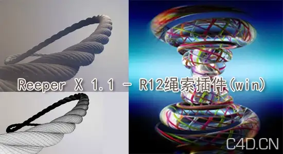 Reeper X 1.1 For C4D R12(绳索插件win) - C4D之家 - aaa.jpg
