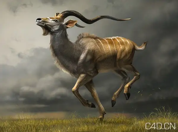 CHARGING KUDU (3D Digital)