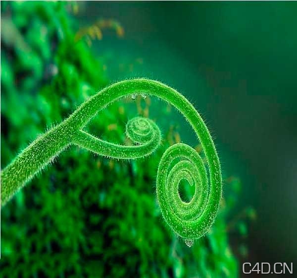 环境、植物插件 DPIT Nature spirit Plants And Effex V0.99.98 FOR C4D R11.5 - C4D之家 - 200911816575144371.jpg