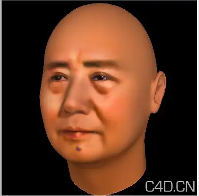毛主席头像模型 Chairman Mao（OBJ/FG） - C4D之家 - WT3DU4FFO2K(QLP`IO3F[$O 2.jpg