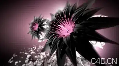 Cineversity 2010 NAB Cinema 4D Tutorials-灰猩猩（Greyscalegorilla）C4D视频教程 - C4D之家 - Snip20120920_14.png