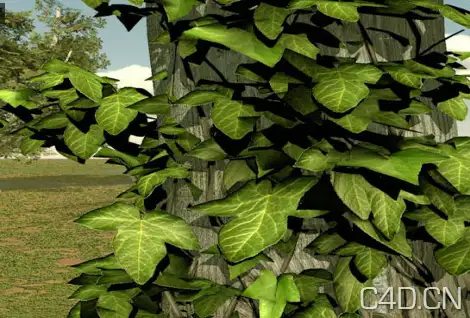 植物生长插件IvyGrower-R120-121 - C4D之家 - Snip20120926_13.png