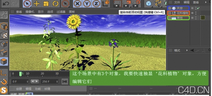C4D[独显插件] MagicSolo1.1 For CINEMA 4D R12/R13