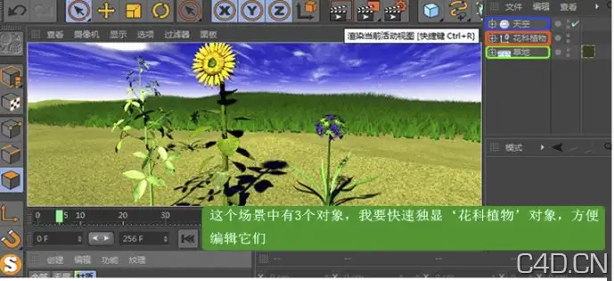 C4D[独显插件] MagicSolo1.1 For CINEMA 4D R12/R13