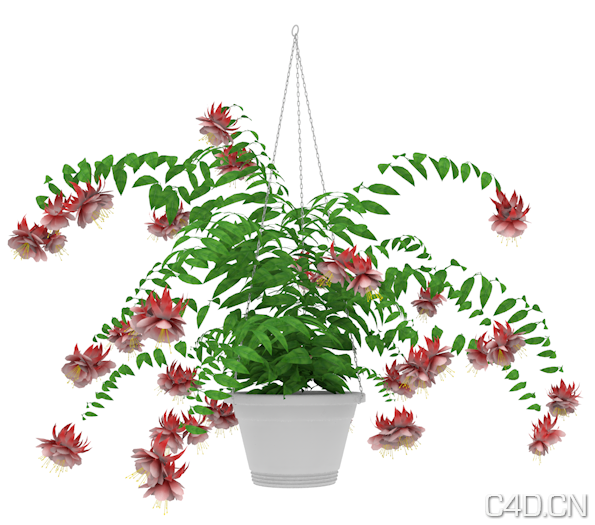C4D花卉模型：盆吊花 扶桑花 Hibiscus - C4D之家 - Snip20120930_55.png