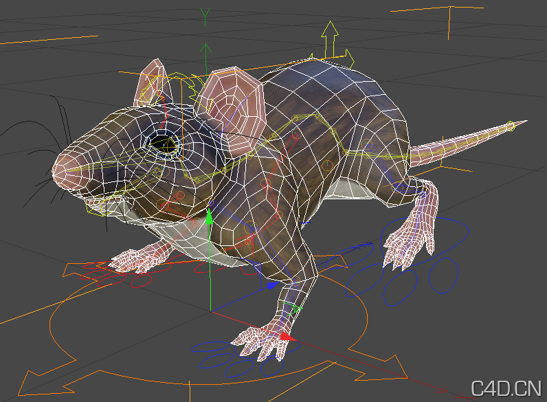 C4D老鼠模型 带动画、带骨骼、带材质 CMotion (Mouse) - C4D之家 - Snip20121002_13.png