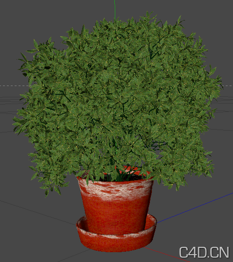 C4D绿色植物盆景模型 Plants Bonsai - C4D之家 - Snip20121005_10.png