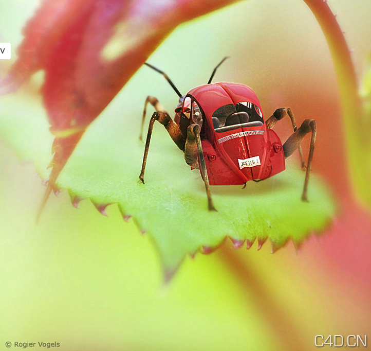C4D渲染作品：机械昆虫