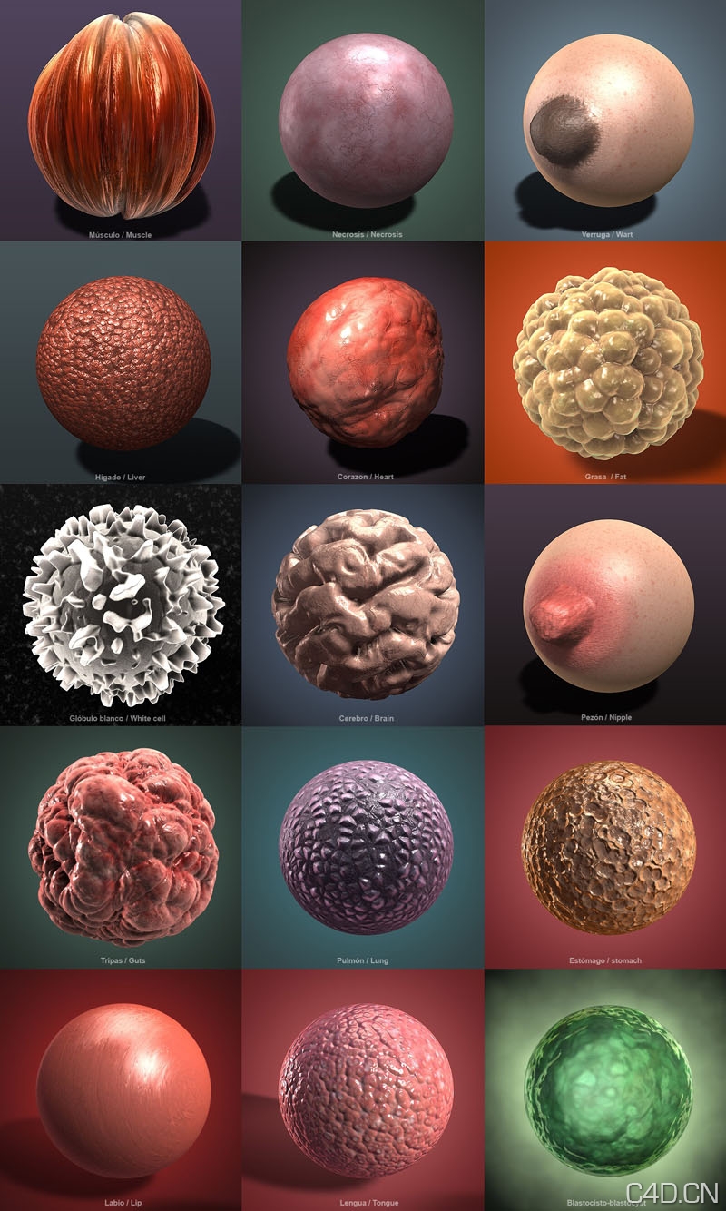 C4D材质：有机着色器库 - C4D之家 - body_shader_09.jpeg