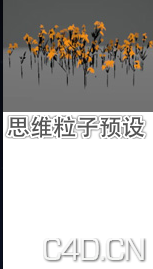 思维粒子预设库 版本3 - C4D之家 - Snip20121225_12.png