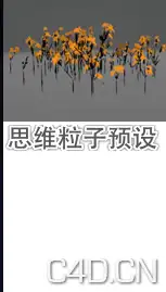 思维粒子预设库 版本3