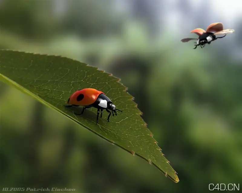 C4D七星瓢虫渲染：Flying Ladybug