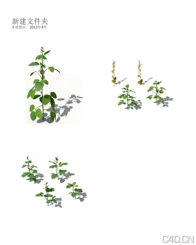 Xforg-植物模型-Agriculture：黄豆C4D模型 Soybean 3d model - C4D之家 - AG07.jpg