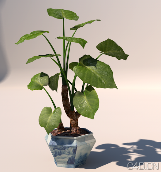 植物3D模型 滴水观音3D模型 盆景3D模型 - C4D之家 - Snip20130523_1.png