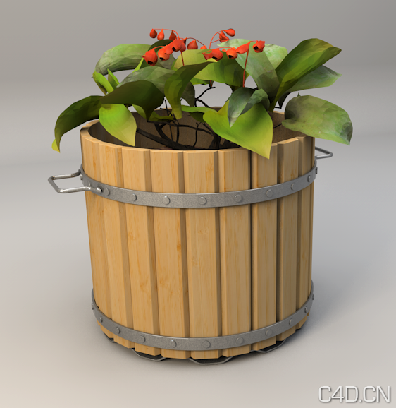 木桶3D模型 铁圈木桶花卉3D模型 Cask model - C4D之家 - Snip20130527_1.png
