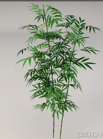 竹子3D模型 竹林模型 Bamboo - C4D之家 - Snip20130527_2.png
