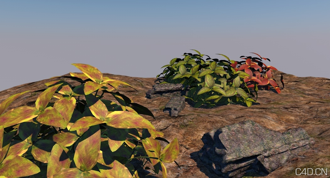 绿化植物3D模型 石头3D模型