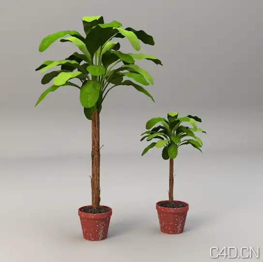 C4D植物模型 大叶植物3D模型 - C4D之家 - Snip20130601_1.png