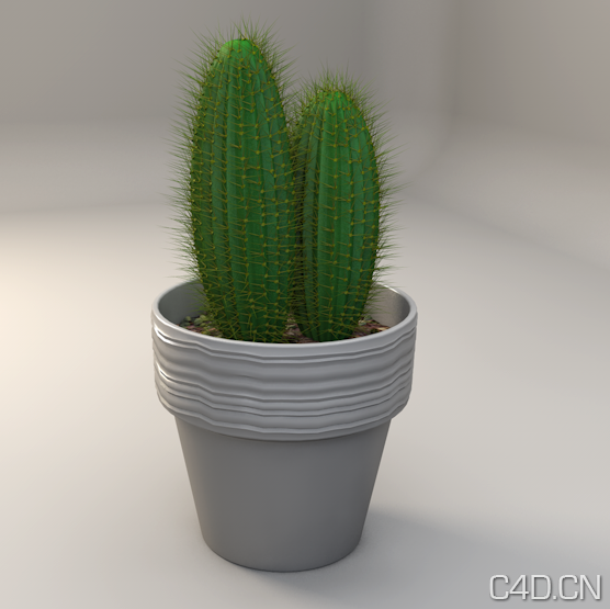 仙人球C4D模型 仙人掌盆景 Cactus - C4D之家 - Snip20130601_4.png