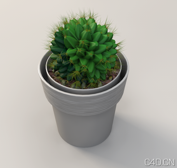 仙人球C4D模型 盆景植物 Cactus - C4D之家 - Snip20130601_5.png