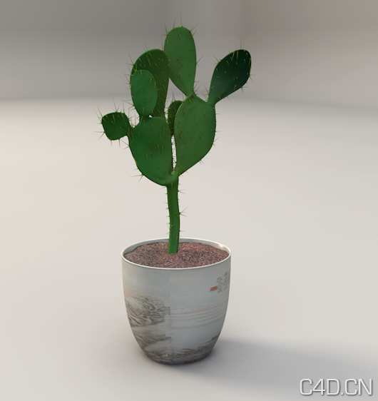仙人掌C4D模型 仙人掌盆景 Cactus model - C4D之家 - Snip20130601_6.png