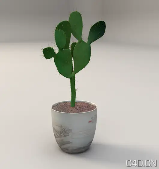仙人掌C4D模型 仙人掌盆景 Cactus model - C4D之家 - Snip20130601_6.png