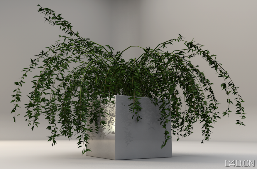 C4D盆景植物模型 Bonsai plants - C4D之家 - Snip20130601_7.png