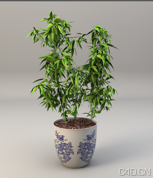 竹子盆景C4D模型 Bamboo - C4D之家 - Snip20130601_9.png