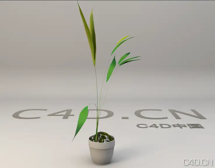 竹3D模型 竹子盆景模型 Bamboo - C4D之家 - Snip20130601_11.png