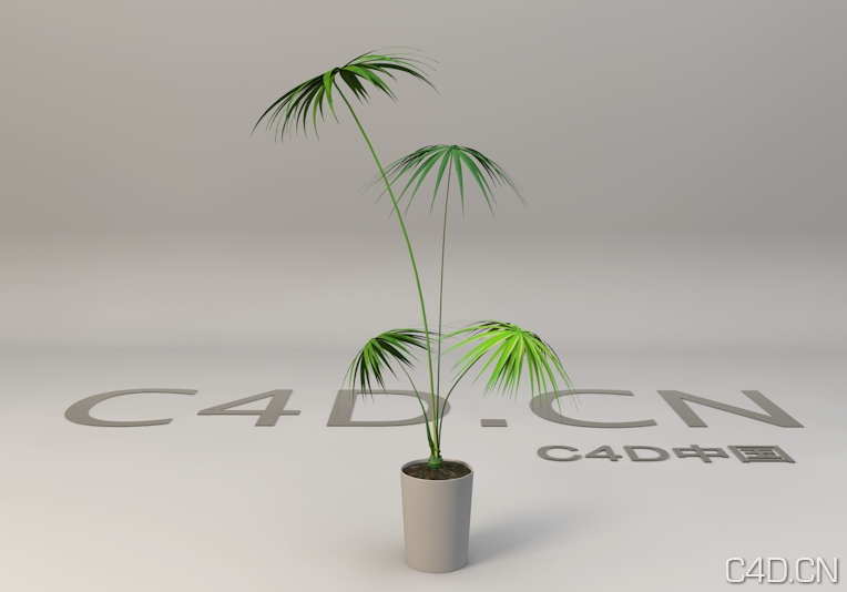 小蒲葵植物模型 蒲葵盆景C4D模型 Palmetto - C4D之家 - Snip20130601_12.png