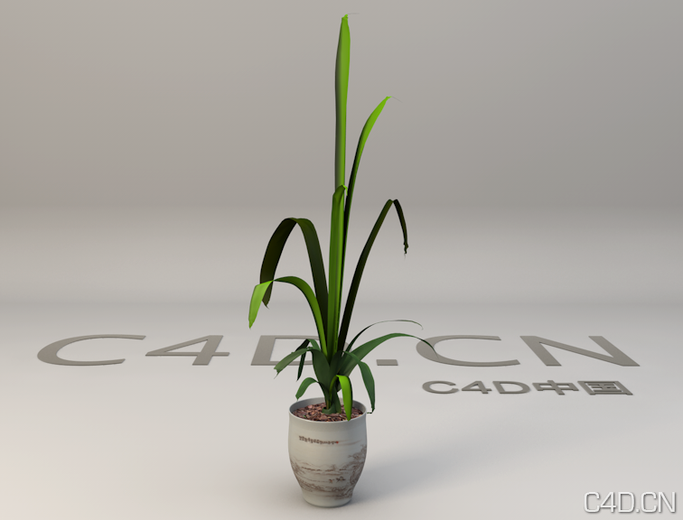 办公室景观盆景植物C4D模型 Bonsai plants - C4D之家 - Snip20130601_13.png