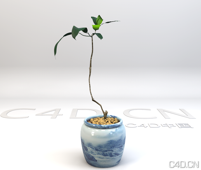 景观植物模型 盆景植物C4D模型