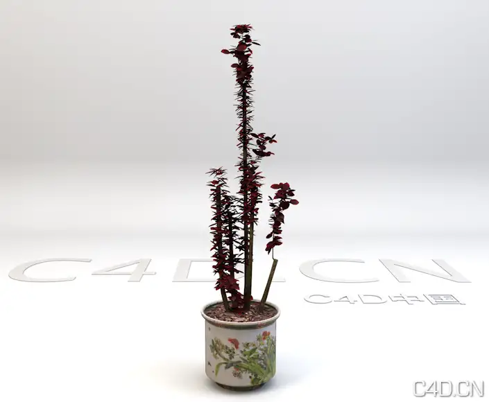 景观盆景模型 红色叶子植物盆景 - C4D之家 - Snip20130601_15.png