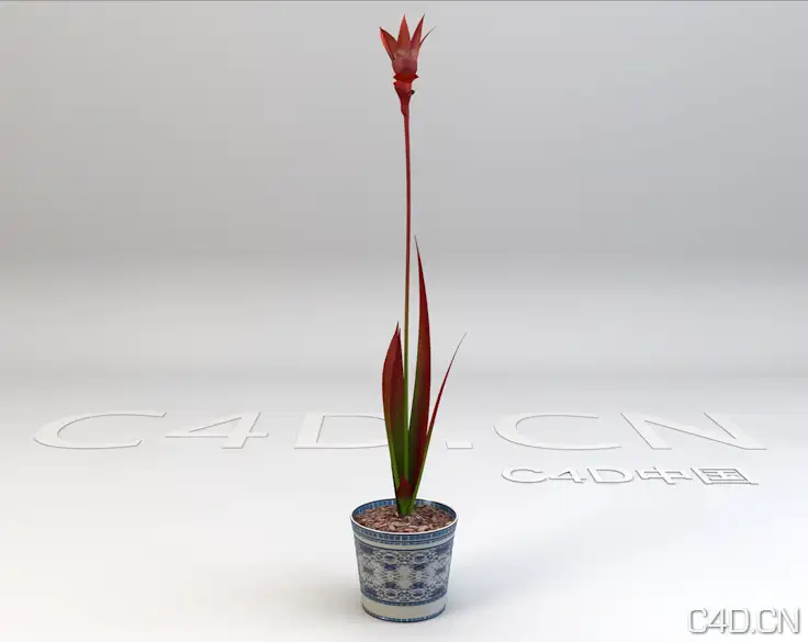 盆景花卉模型 Bonsai flowers model