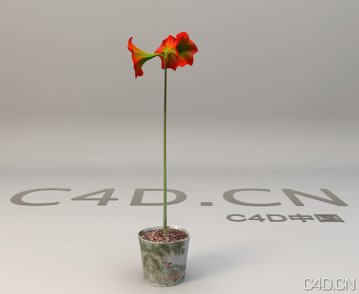 红花盆景 办公室花卉盆景3D模型 - C4D之家 - Snip20130602_1.png