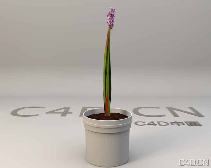 景观花卉 紫色花卉3D模型