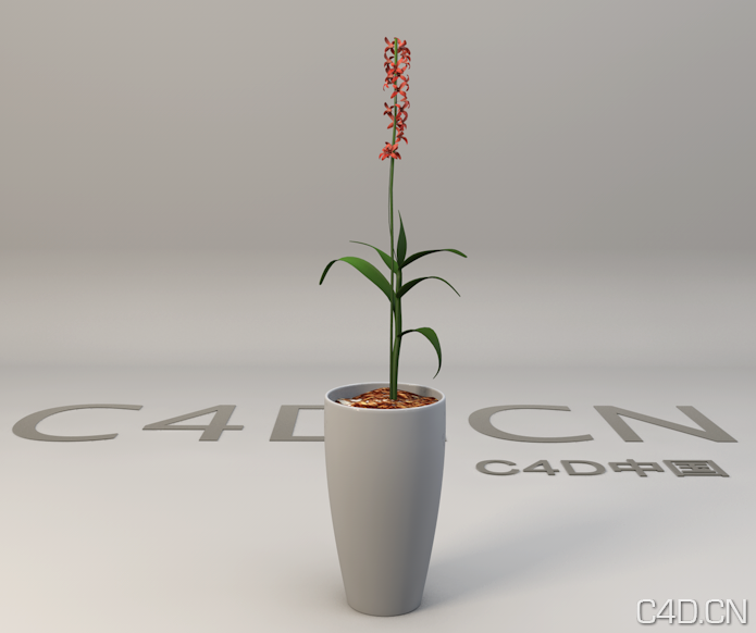 红色小花 景观花卉盆景3D模型 - C4D之家 - Snip20130603_1.png