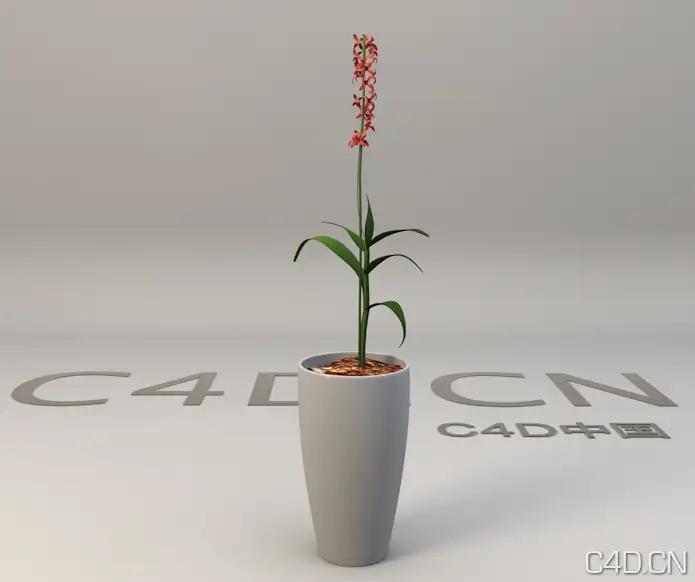 红色小花 景观花卉盆景3D模型