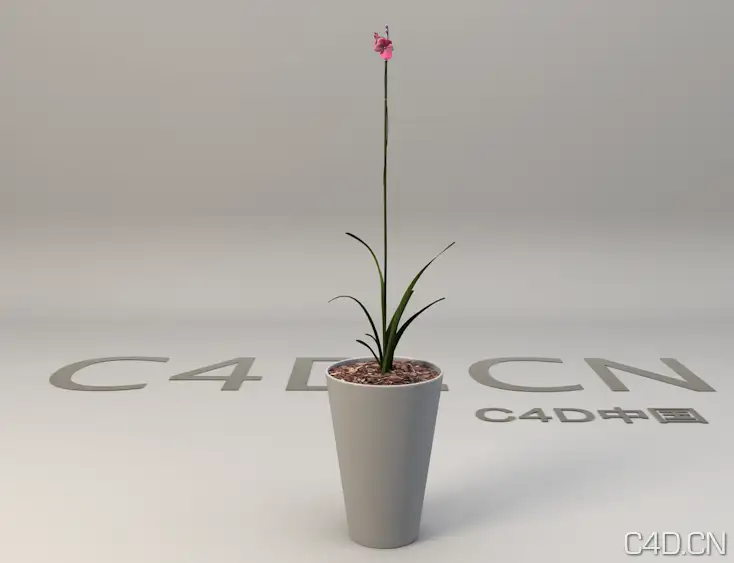 兰花盆景 Orchid - C4D之家 - Snip20130603_2.png