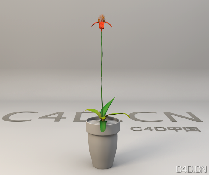 盆景花卉3D模型 - C4D之家 - Snip20130603_3.png
