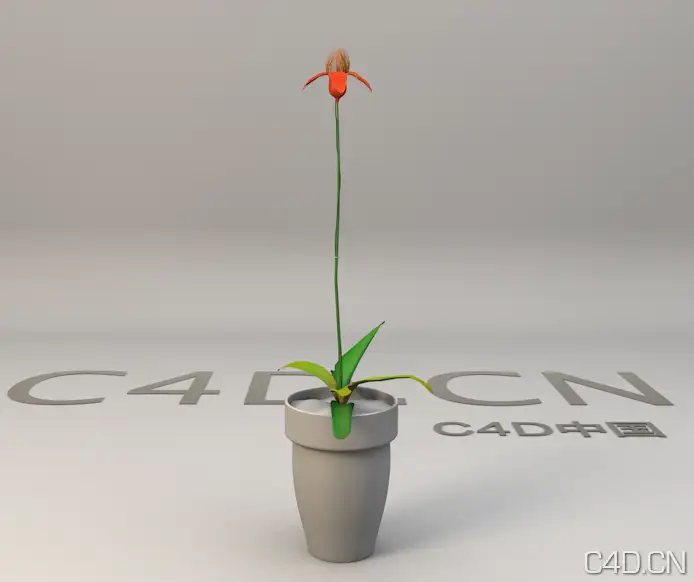 盆景花卉3D模型 - C4D之家 - Snip20130603_3.png