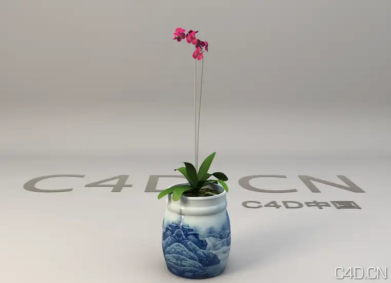 蝴蝶兰3D模型 兰花3D模型 Phalaenopsis