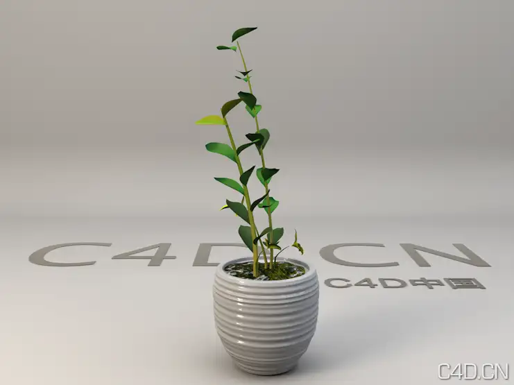 绿叶植物盆景模型 景观植物模型 - C4D之家 - Snip20130603_5.png