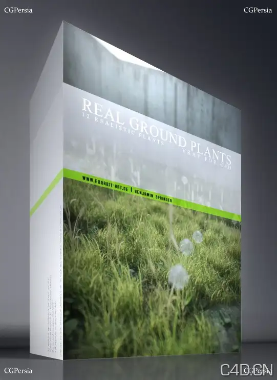 Cinema 4d真实地面植物工程文件Real Ground Plants C4D files - C4D之家 - cover.jpg